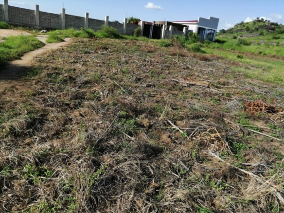 Land for sale-Shirkat