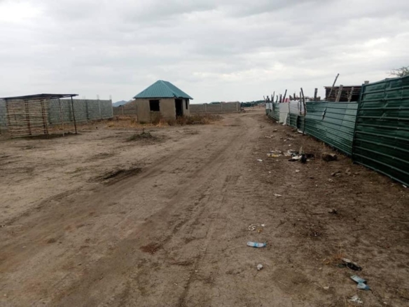 Plot for sale-hAI gUREY